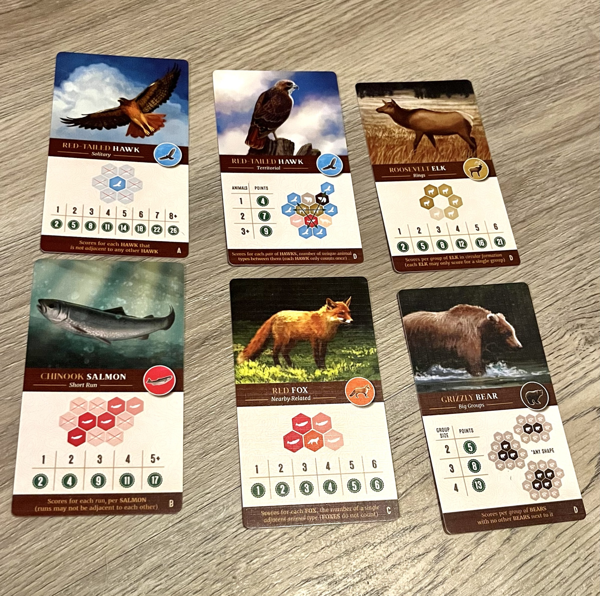 Cascadia – The Skillful Meeple